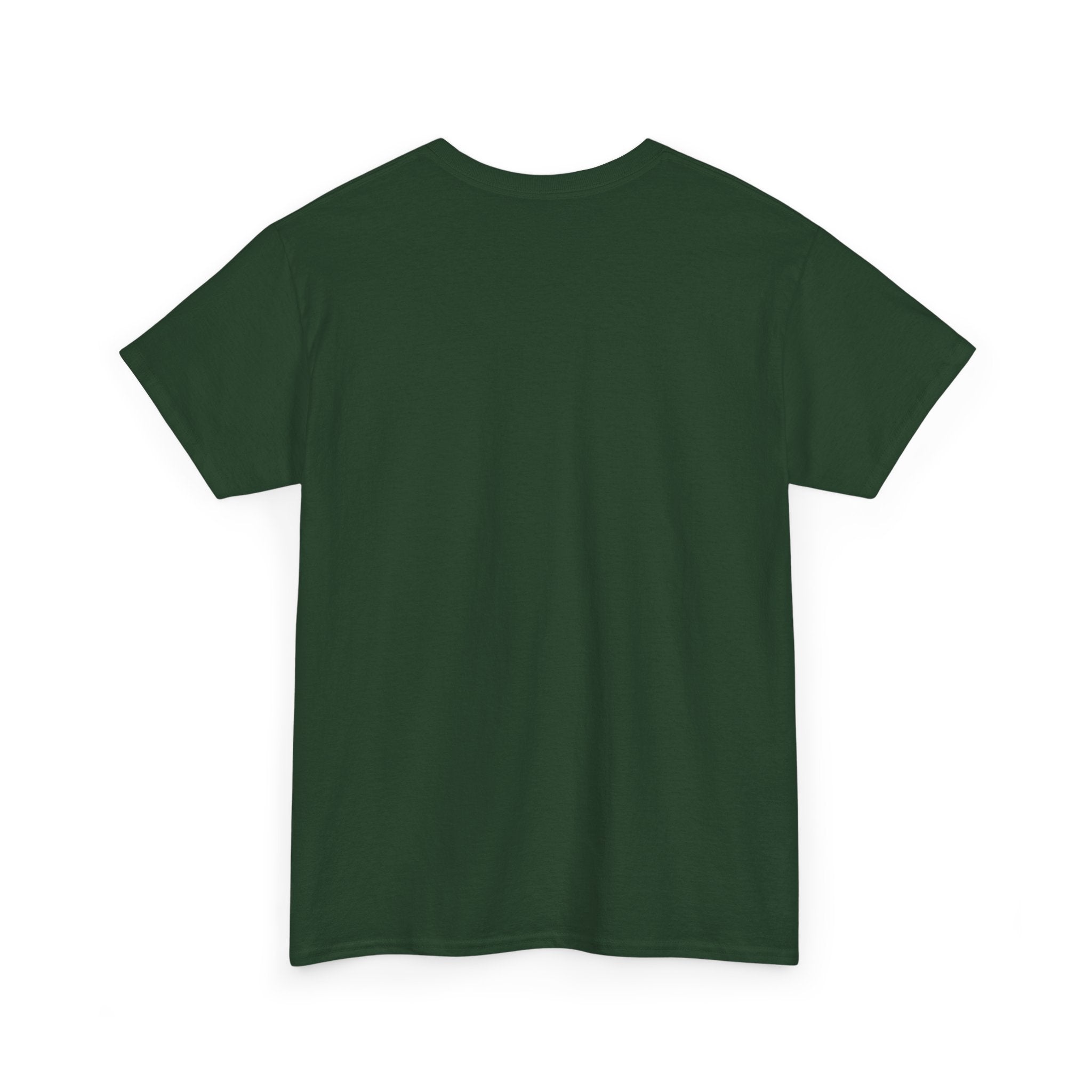 Fantasy Druid T-Shirt — "Druidic Healer" Mage with Antlered Hood Graphic Tee