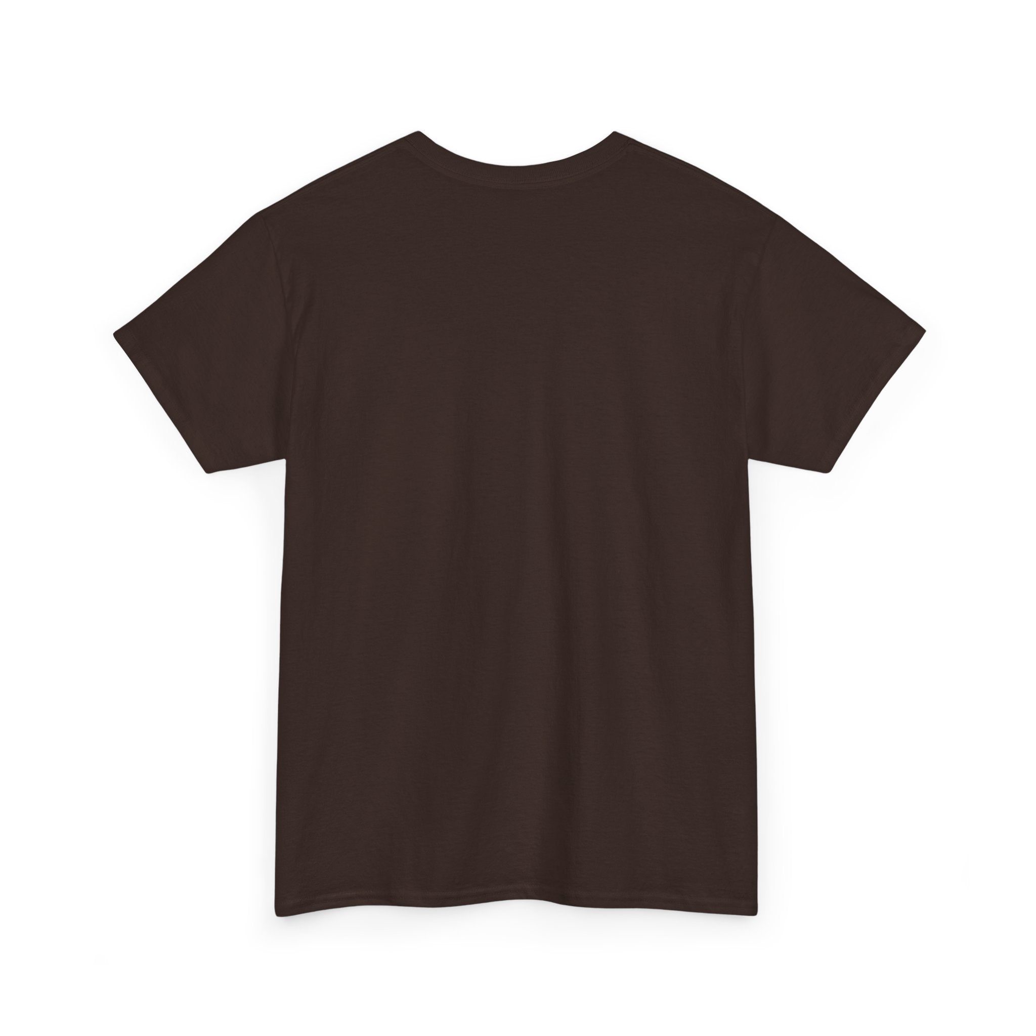 Fantasy Druid T-Shirt — "Druidic Healer" Mage with Antlered Hood Graphic Tee